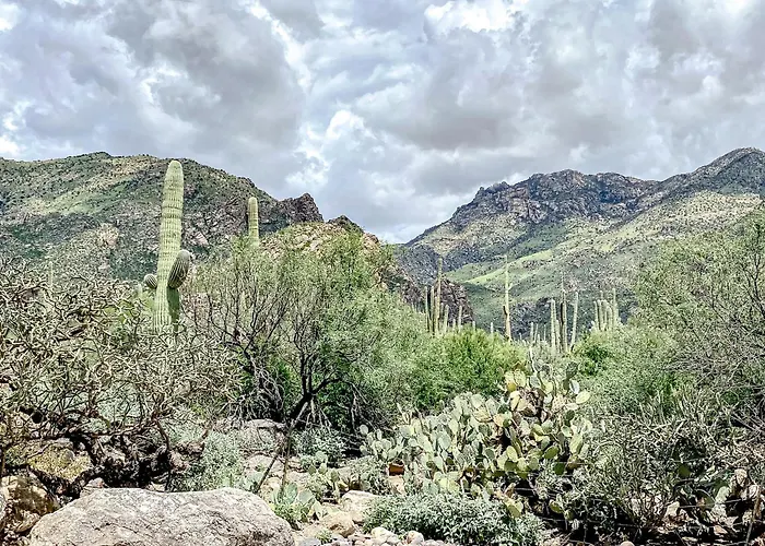 Apartment Canyon View